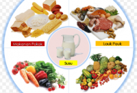 Download Contoh Gambar Makanan Empat Sehat Lima Sempurna Gambar Makanan