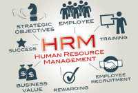 Pengertian Manajemen Sumber Daya Manusia Lengkap (Tujuan, Fungsi, Sasaran, dan Model)